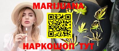 индика Ставрополь