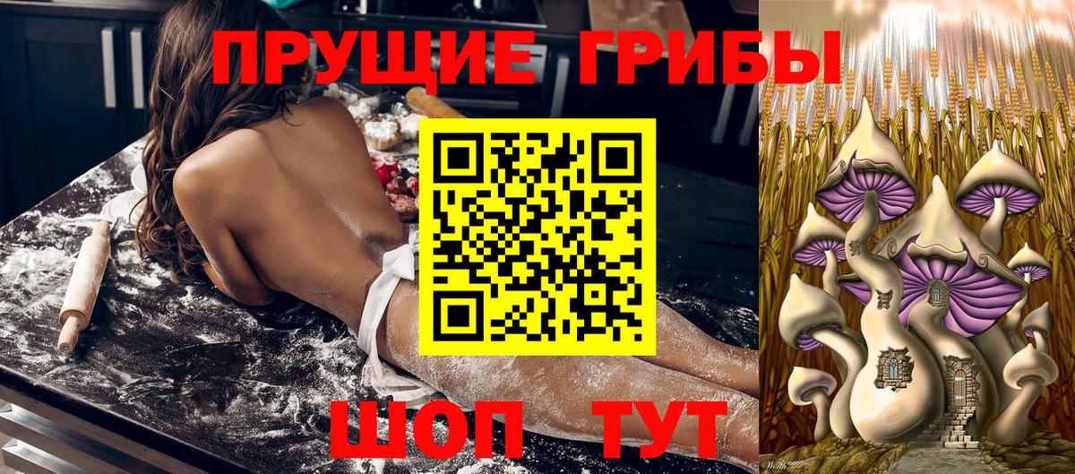 Псилоцибиновые грибы Psilocybine cubensis  Псилоцибиновые грибы GOLDEN TEACHER  Мытищи  Вход с VPN 